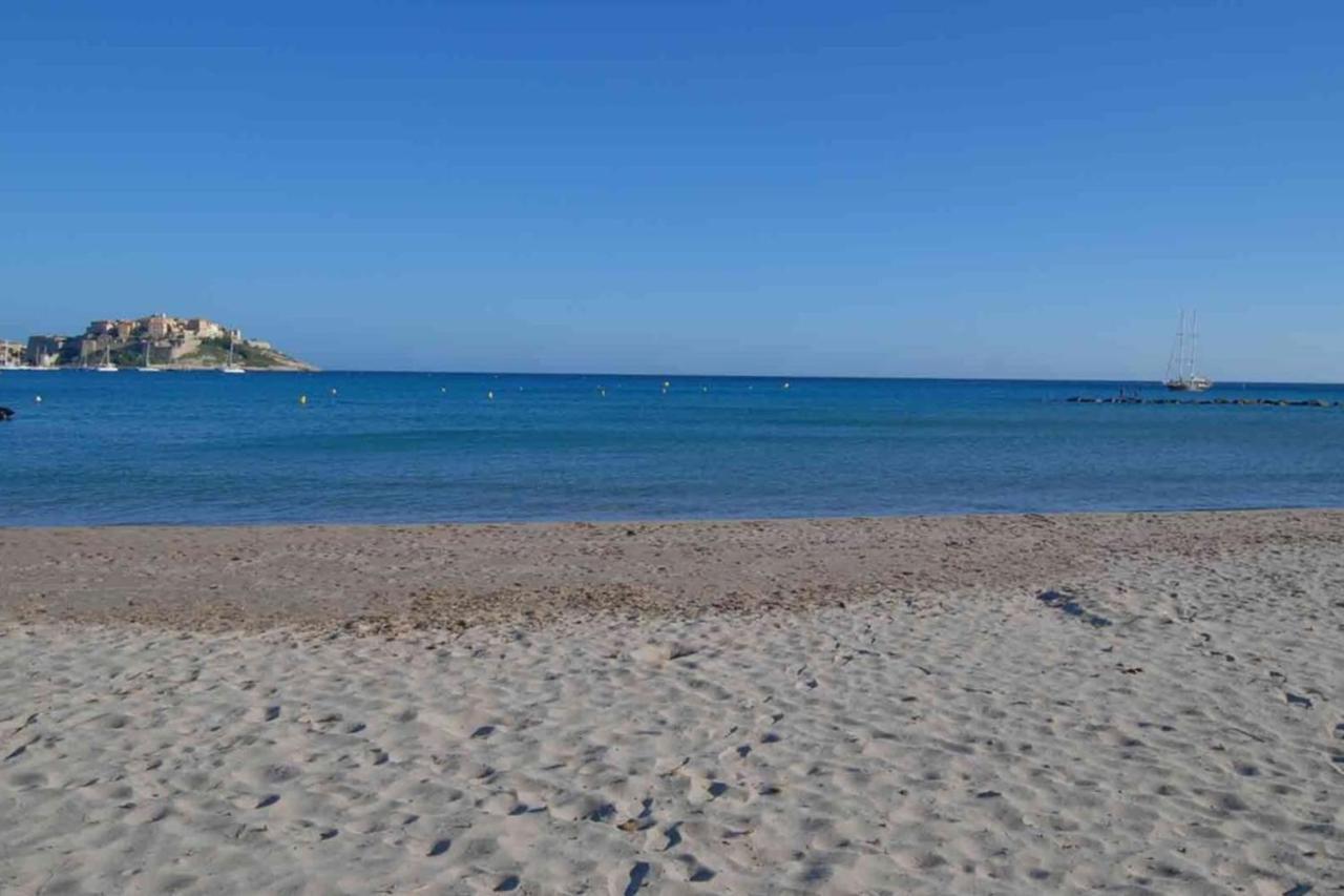 Location De Vacances Olivier Jardin Privatif Et Piscine Chauffee Partagee Calvi  Exterior foto