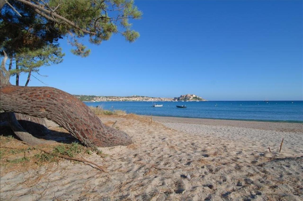 Location De Vacances Olivier Jardin Privatif Et Piscine Chauffee Partagee Calvi  Exterior foto